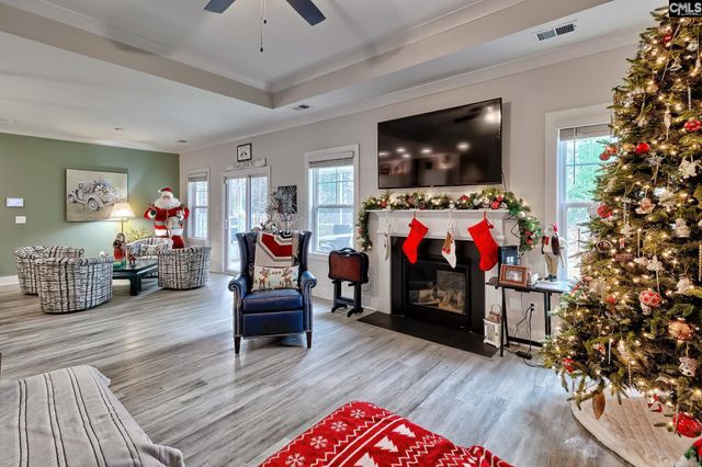 249 Daymark Drive, Chapin, SC 29036