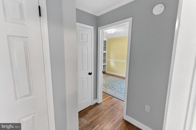 509 LOBLOLLY LN, Salisbury, MD 21801