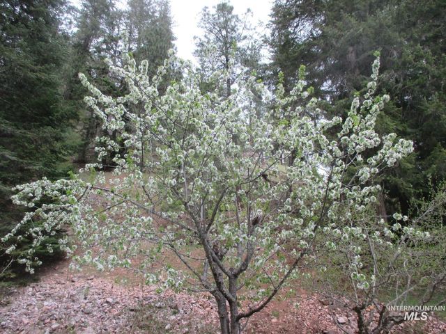145 Little Smith Creek Rd, Kooskia, ID 83539