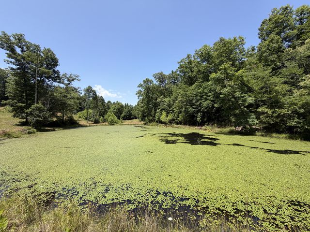 215 Bar Bee Rd, Hohenwald, TN 38462