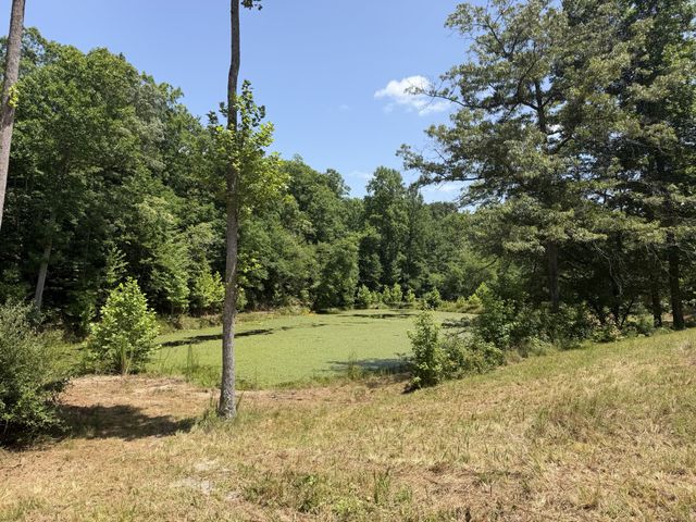 215 Bar Bee Rd, Hohenwald, TN 38462