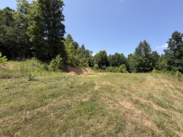 215 Bar Bee Rd, Hohenwald, TN 38462