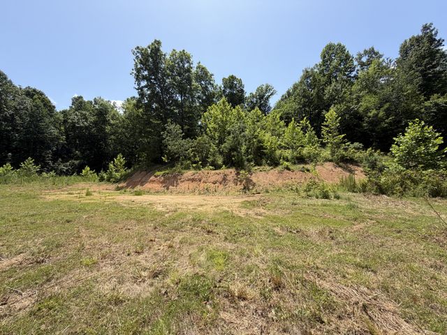215 Bar Bee Rd, Hohenwald, TN 38462