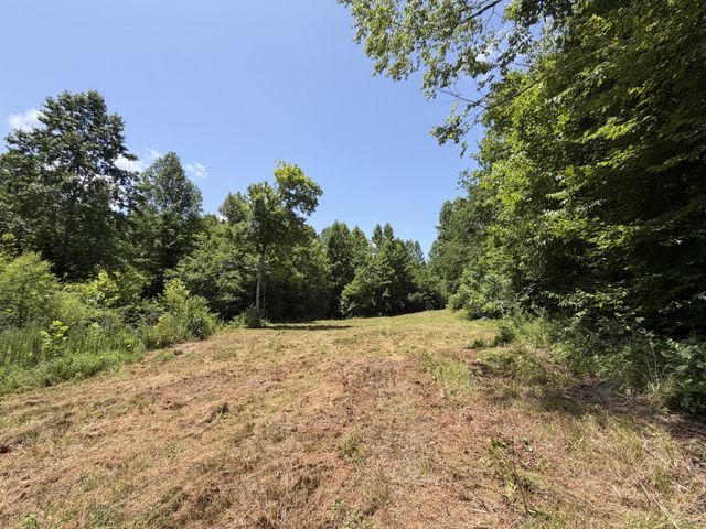 215 Bar Bee Rd, Hohenwald, TN 38462