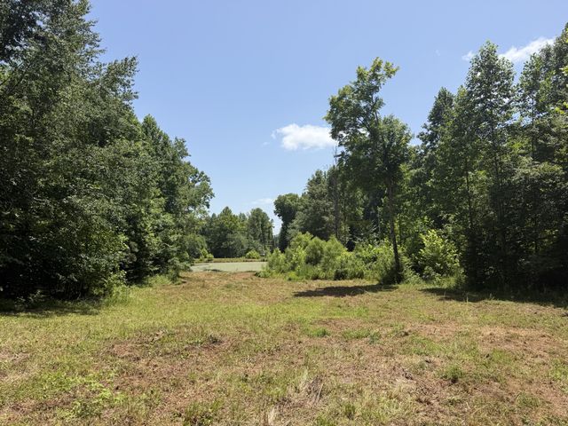 215 Bar Bee Rd, Hohenwald, TN 38462