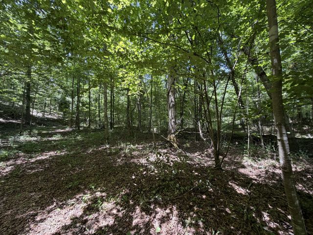 215 Bar Bee Rd, Hohenwald, TN 38462