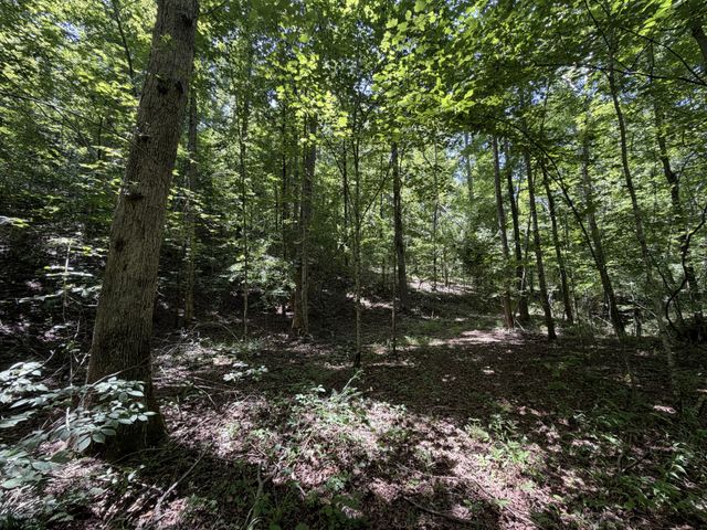 215 Bar Bee Rd, Hohenwald, TN 38462
