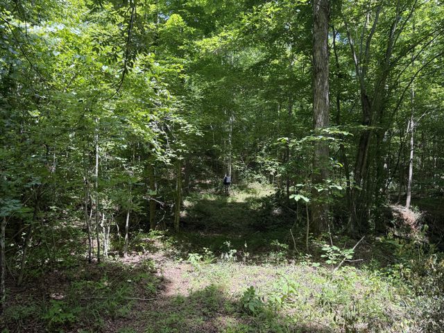 215 Bar Bee Rd, Hohenwald, TN 38462