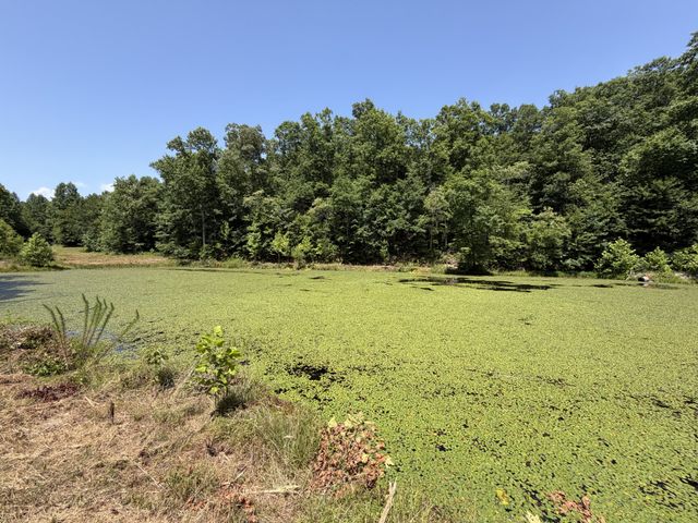 215 Bar Bee Rd, Hohenwald, TN 38462
