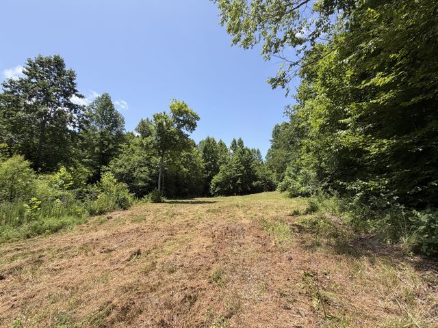 215 Bar Bee Rd, Hohenwald, TN 38462