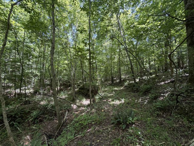 215 Bar Bee Rd, Hohenwald, TN 38462