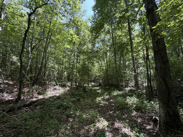 215 Bar Bee Rd, Hohenwald, TN 38462