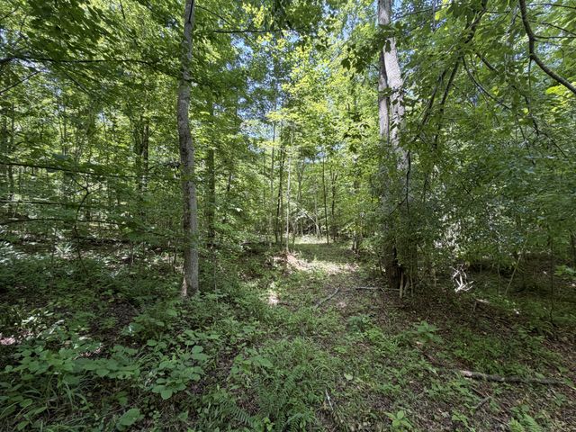 215 Bar Bee Rd, Hohenwald, TN 38462