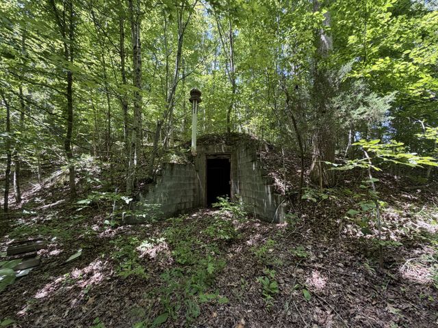 215 Bar Bee Rd, Hohenwald, TN 38462