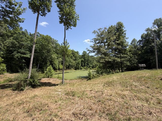 215 Bar Bee Rd, Hohenwald, TN 38462