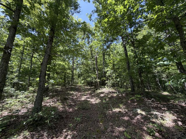 215 Bar Bee Rd, Hohenwald, TN 38462