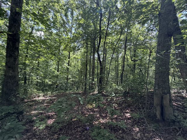 215 Bar Bee Rd, Hohenwald, TN 38462