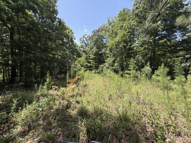 215 Bar Bee Rd, Hohenwald, TN 38462