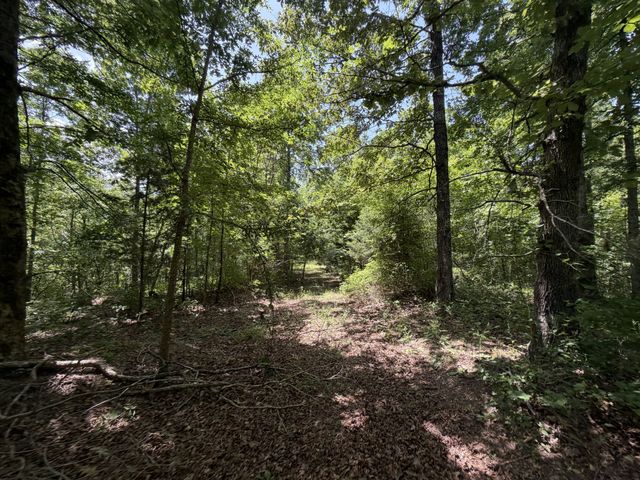 215 Bar Bee Rd, Hohenwald, TN 38462