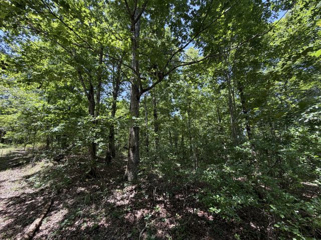 215 Bar Bee Rd, Hohenwald, TN 38462