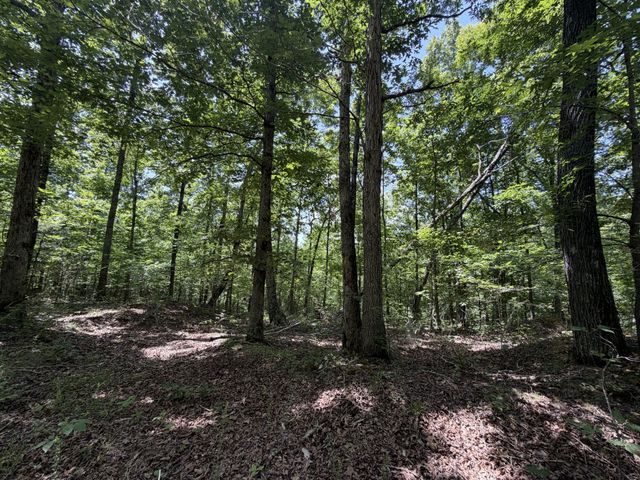 215 Bar Bee Rd, Hohenwald, TN 38462