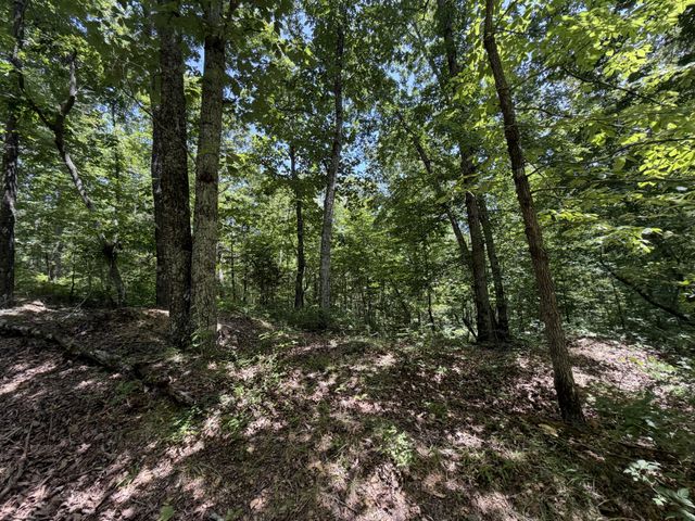 215 Bar Bee Rd, Hohenwald, TN 38462