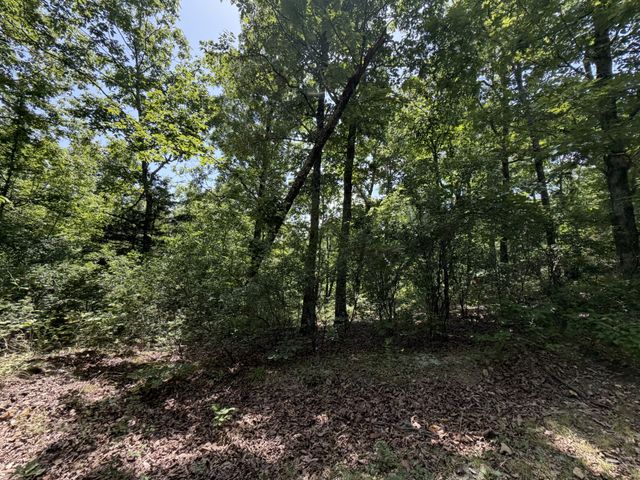 215 Bar Bee Rd, Hohenwald, TN 38462