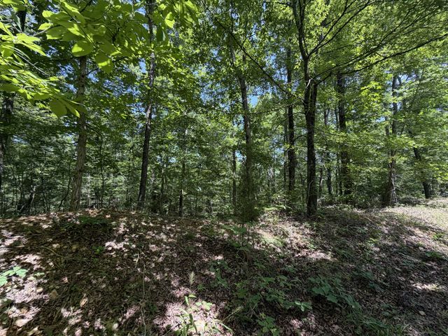 215 Bar Bee Rd, Hohenwald, TN 38462