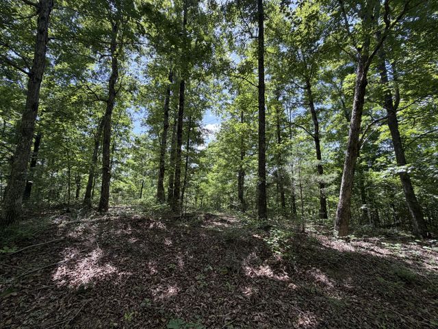 215 Bar Bee Rd, Hohenwald, TN 38462