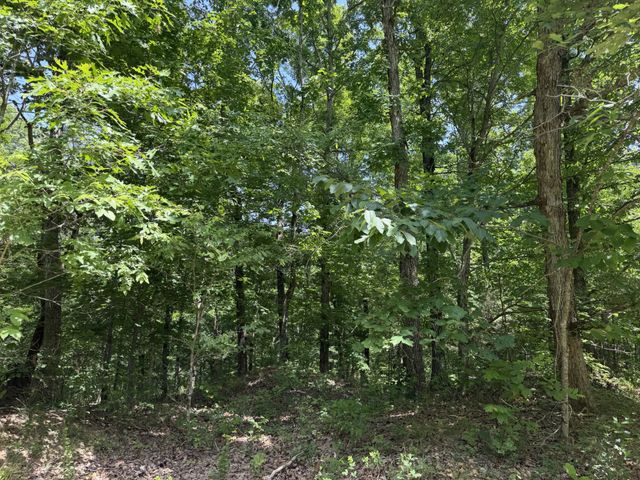 215 Bar Bee Rd, Hohenwald, TN 38462
