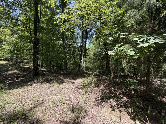 215 Bar Bee Rd, Hohenwald, TN 38462