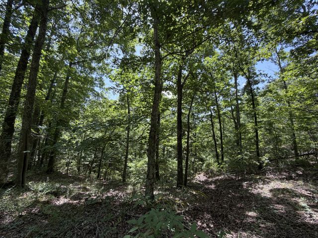 215 Bar Bee Rd, Hohenwald, TN 38462