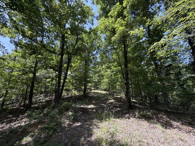 215 Bar Bee Rd, Hohenwald, TN 38462
