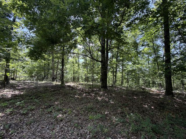 215 Bar Bee Rd, Hohenwald, TN 38462