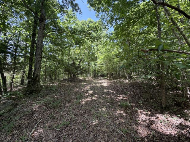 215 Bar Bee Rd, Hohenwald, TN 38462