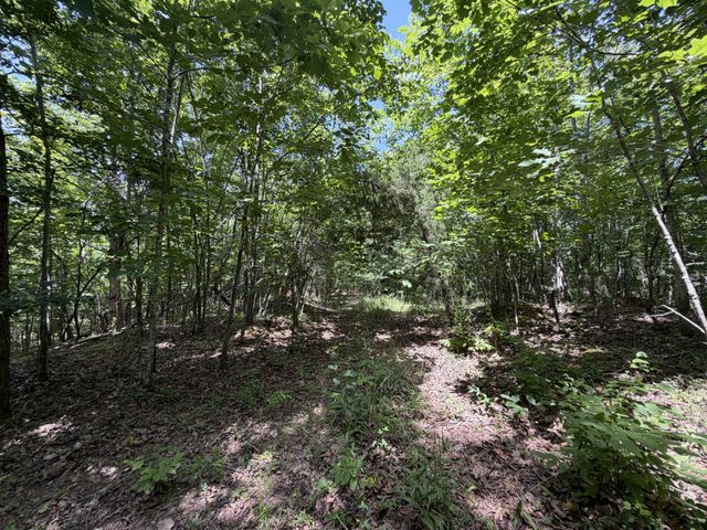 215 Bar Bee Rd, Hohenwald, TN 38462