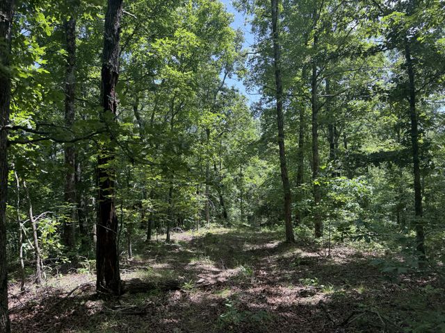 215 Bar Bee Rd, Hohenwald, TN 38462