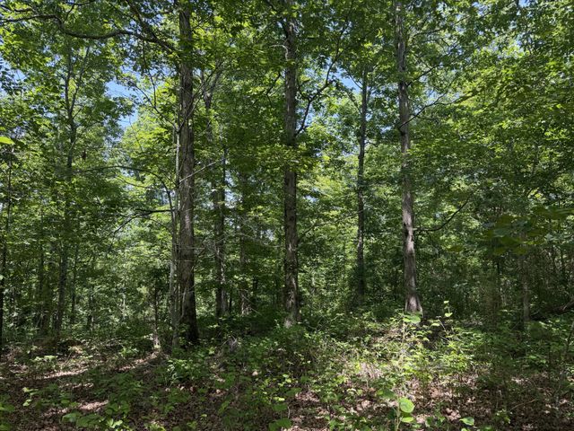 215 Bar Bee Rd, Hohenwald, TN 38462