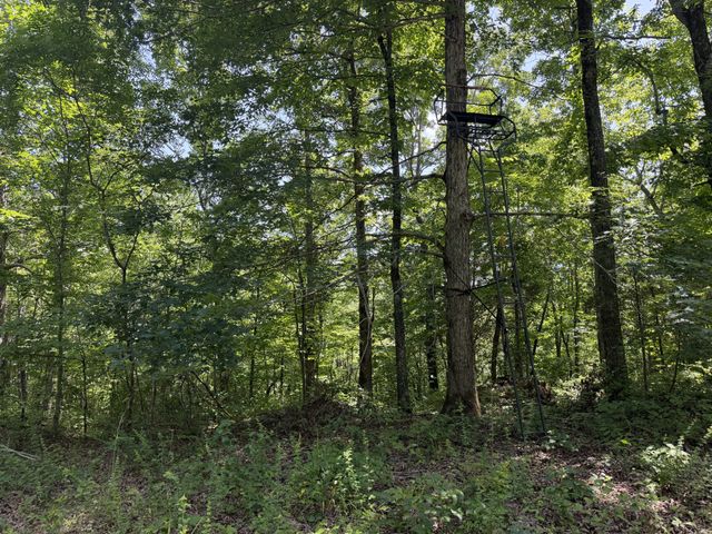 215 Bar Bee Rd, Hohenwald, TN 38462