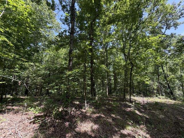 215 Bar Bee Rd, Hohenwald, TN 38462
