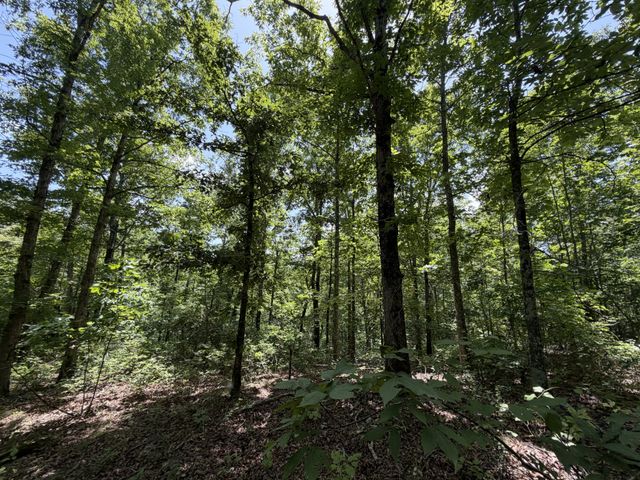 215 Bar Bee Rd, Hohenwald, TN 38462