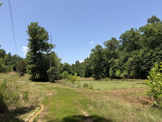 215 Bar Bee Rd, Hohenwald, TN 38462