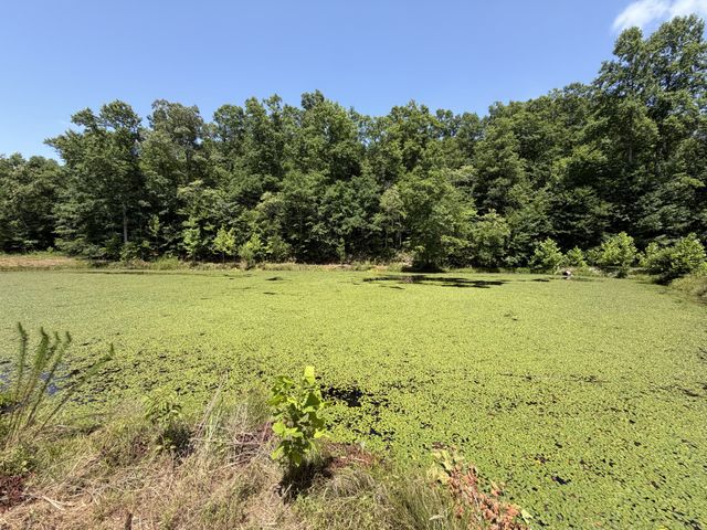 215 Bar Bee Rd, Hohenwald, TN 38462