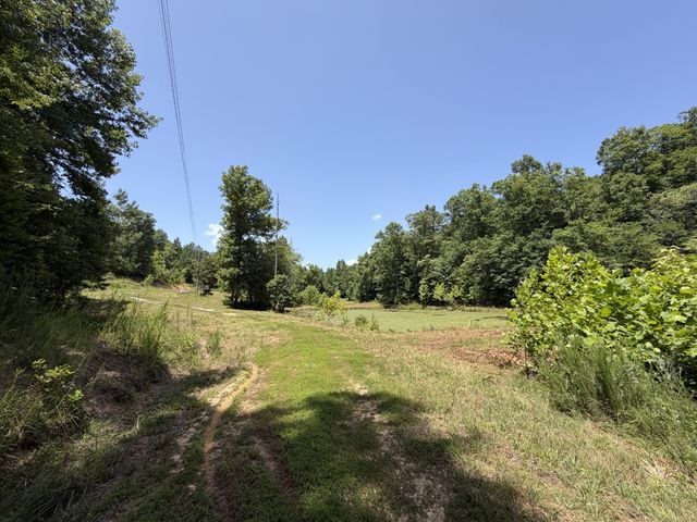 215 Bar Bee Rd, Hohenwald, TN 38462