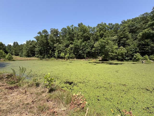 215 Bar Bee Rd, Hohenwald, TN 38462