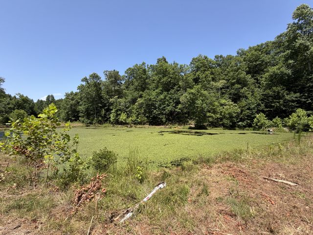 215 Bar Bee Rd, Hohenwald, TN 38462