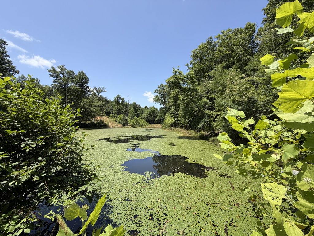 215 Bar Bee Rd, Hohenwald, TN 38462