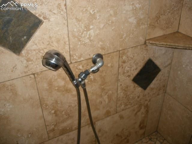 364 Kutsu Ridge Road, Florissant, CO 80816