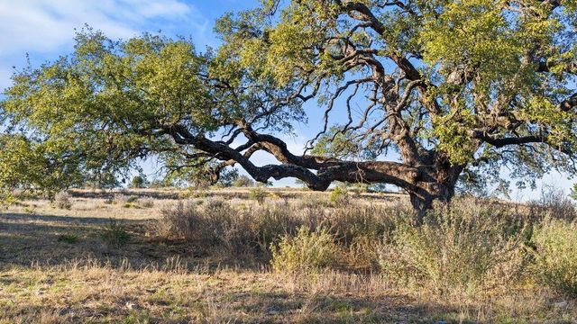 885 Stanton RD, Johnson City, TX 78636