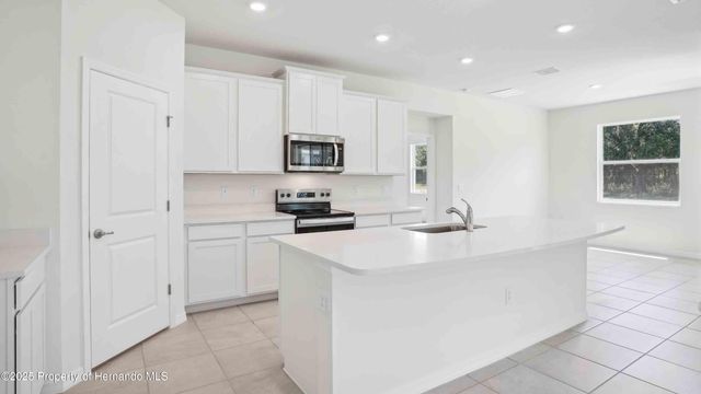 11367 Curio Drive, Brooksville, FL 34613